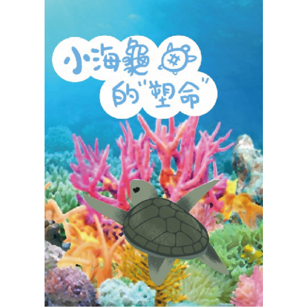 資產 3 下午4.40.14.png